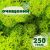 Очищенный стабилизированный мох ягель Nordic moss Зеленый весенний 250 грамм