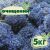 Очищенный стабилизированный мох ягель Nordic moss Синий лазурный 5 кг