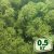 Стабилизированный мох ягель Nordic moss Зеленый темный 0,5 кг