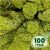 Стабилизированный мох ягель Nordic moss Зеленый светлый 100 грамм