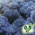 Стабилизированный мох ягель Nordic moss Синий лазурный 0,5 кг