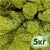 Стабилизированный мох ягель Nordic moss Зеленый светлый 5 кг