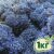 Стабилизированный мох ягель Nordic moss Синий лазурный 1 кг