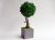 Дерево из стабилизированного зеленого мха Etoile Flora (TBLIC/0578)