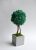 Дерево из стабилизированного мха пасифик Etoile Flora (TBLIC/0587)
