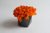 Стабилизированный мох оранжевый в бетонном кашпо Etoile Flora (GLIC/0551)