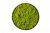 Стабилизированный ярко-зеленый мох Ягель в деревянной раме Etoile Flora 40 см (L-0693-1)