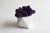 Стабилизированный мох пурпурный в бетонном кашпо Etoile Flora (WLIC/0567)