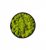 Стабилизированный сочно-зеленый мох Ягель в деревянной раме Etoile Flora 16 см (L-0693-3)