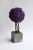 Дерево из пурпурного стабилизированного мха Etoile Flora (TBLIC/0567)