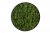 Стабилизированный темно-зеленый мох Ягель в деревянной раме 40 см Etoile Flora (L-0692-L)