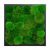 Картина из кочкового мха зеленый
