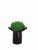 Стабилизированный мох вазон Reindeer Moss b/222/01/850/10 черный темный зеленый