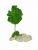 Стабилизированный мох дерево Reindeer Moss b/51/05/500/17 зеленый