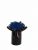 Стабилизированный мох вазон Reindeer Moss b/222/01/850/10 черный синий