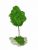 Стабилизированный мох дерево Reindeer Moss b/51/05/500/19 зеленый