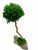 Стабилизированный мох дерево Reindeer Moss b/31/05/500/25 зеленый