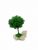 Стабилизированный мох дерево Reindeer Moss b/31/05/500/12 зеленый