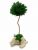 Стабилизированный мох дерево Reindeer Moss b/31/05/500/22 темно зеленый