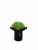 Стабилизированный мох вазон Reindeer Moss b/222/01/850/10 черный светлый зеленый