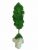Стабилизированный мох дерево Reindeer Moss b/51/05/500/27 зеленый