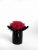 Стабилизированный мох вазон Reindeer Moss b/222/01/850/10 черный розовый