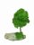Стабилизированный мох дерево Reindeer Moss b/51/05/500/15 зеленый