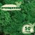 Очищенный стабилизированный мох ягель Nordic moss Зеленый травяной темный 50 грамм