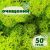 Очищенный стабилизированный мох ягель Nordic moss Зеленый весенний 50 грамм
