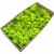 Стабилизированный мох SO Green салатовый 0,5 кг (055)