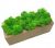 Стабилизированный мох SO Green Соу Грин в деревянном кашпо 20×8 см (031)