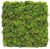 Стабилизированный мох SO Green Декоративная стена из мха 1м² (004)