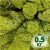 Стабилизированный мох ягель Nordic moss Зеленый светлый 0,5 кг
