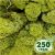 Стабилизированный мох ягель Nordic moss Зеленый светлый 250 грамм