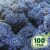 Стабилизированный мох ягель Nordic moss Синий лазурный 100 грамм