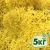 Стабилизированный мох ягель Nordic moss Желтый классический 5 кг