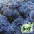Стабилизированный мох ягель Nordic moss Синий лазурный 5 кг