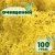 Очищенный стабилизированный мох ягель Nordic moss Желтый классический 100 грамм