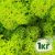 Стабилизированный мох ягель Nordic moss Зеленый весенний 1 кг