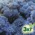 Стабилизированный мох ягель Nordic moss Синий лазурный 3 кг