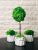 Набор 2 кашпо и дерево ручной работы со стабилизированным мхом микс зелёный салатовый 30-35 см