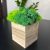 Кубик деревянный со стабилизированным мхом микс зеленый салатовый 6.5*6.5 см