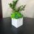 Кубик деревянный белый со стабилизированным мхом микс зеленый салатовый 7*7 см