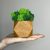 Куб светлое дерево со стабилизированным мхом микс зелёный салатовый 8*6 см