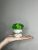 Кашпо мраморное ручной работы со стабилизированным мхом микс зелёный салатовый 8*7 см