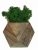 Стабилизированный мох вазон Reindeer Moss b/093/01/700/9 темно-зеленый коричневый