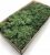 Стабилизированный мох SO Green Соу Грин болотный 0,5 кг (00090)