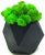 Стабилизированный мох SO Green Соу Грин зеленый деревянный черный шестигранный горшок 8×8см (002212)