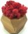 Стабилизированный мох SO Green Соу Грин красный в деревянном шестигранном горшке 8×8 см (002257)