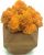 Стабилизированный мох SO Green Соу Грин оранжевый в деревянном шестигранном горшке 8×8 см (002251)